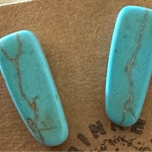 Dyed Howlite Stone Earrings For Pierced Ears New